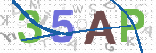 画像に表示された文字を入力して下さい