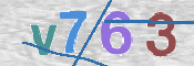 画像に表示された文字を入力して下さい