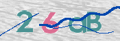 画像に表示された文字を入力して下さい
