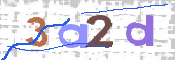 画像に表示された文字を入力して下さい