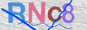 画像に表示された文字を入力して下さい