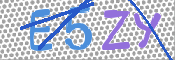 画像に表示された文字を入力して下さい