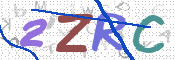 画像に表示された文字を入力して下さい