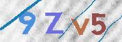 画像に表示された文字を入力して下さい