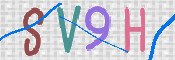 画像に表示された文字を入力して下さい