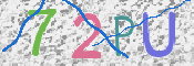 画像に表示された文字を入力して下さい