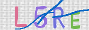 画像に表示された文字を入力して下さい
