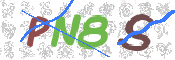 画像に表示された文字を入力して下さい