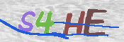 画像に表示された文字を入力して下さい
