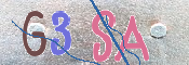 画像に表示された文字を入力して下さい