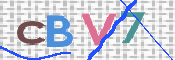 画像に表示された文字を入力して下さい