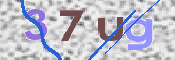 画像に表示された文字を入力して下さい