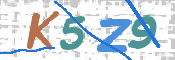 画像に表示された文字を入力して下さい