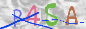 画像に表示された文字を入力して下さい