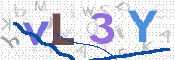 画像に表示された文字を入力して下さい