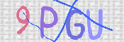 画像に表示された文字を入力して下さい
