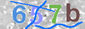 画像に表示された文字を入力して下さい