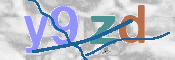 画像に表示された文字を入力して下さい