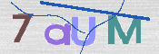 画像に表示された文字を入力して下さい