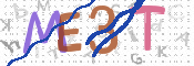 画像に表示された文字を入力して下さい