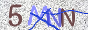 画像に表示された文字を入力して下さい