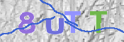 画像に表示された文字を入力して下さい