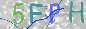 画像に表示された文字を入力して下さい