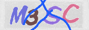 画像に表示された文字を入力して下さい