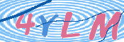 画像に表示された文字を入力して下さい