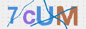 画像に表示された文字を入力して下さい
