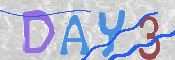 画像に表示された文字を入力して下さい