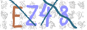 画像に表示された文字を入力して下さい