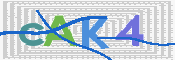 画像に表示された文字を入力して下さい