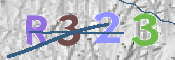 画像に表示された文字を入力して下さい