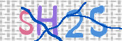 画像に表示された文字を入力して下さい
