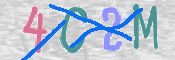 画像に表示された文字を入力して下さい