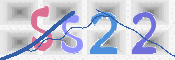 画像に表示された文字を入力して下さい