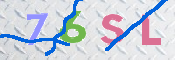 画像に表示された文字を入力して下さい