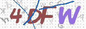 画像に表示された文字を入力して下さい