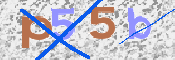 画像に表示された文字を入力して下さい