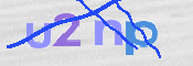 画像に表示された文字を入力して下さい
