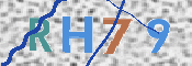 画像に表示された文字を入力して下さい