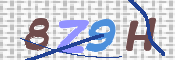画像に表示された文字を入力して下さい