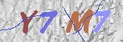画像に表示された文字を入力して下さい