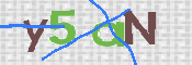 画像に表示された文字を入力して下さい