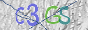 画像に表示された文字を入力して下さい