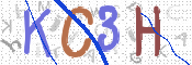 画像に表示された文字を入力して下さい