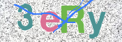 画像に表示された文字を入力して下さい