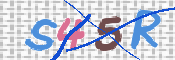 画像に表示された文字を入力して下さい