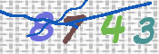 画像に表示された文字を入力して下さい